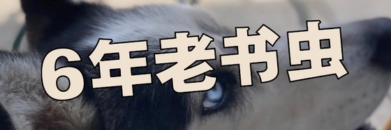 6年老书虫&小说读者推荐26本